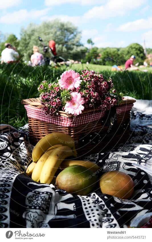 Healthy picnic in a park in summer England healthy eating nutrition Blanket Blankets vegetarian Vegetarian Food Picnic Blanket Picnic Blankets Picnic Mat