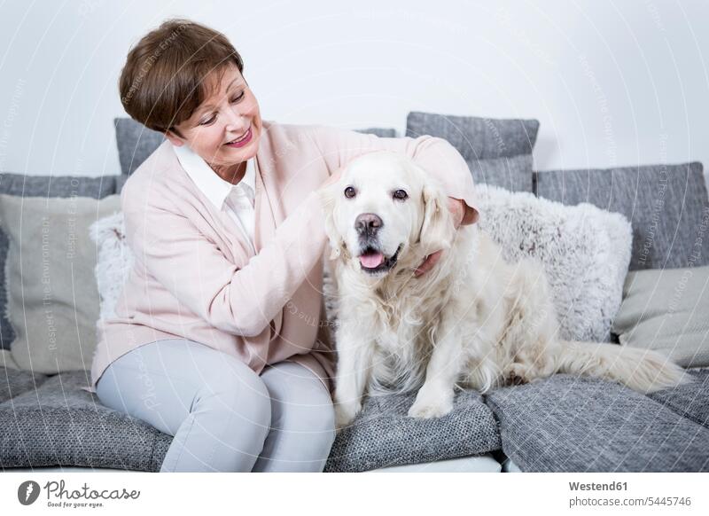 Senior woman sitting on couch with her dog females women senior women elder women elder woman old senior woman stroking petting Seated Adults grown-ups grownups