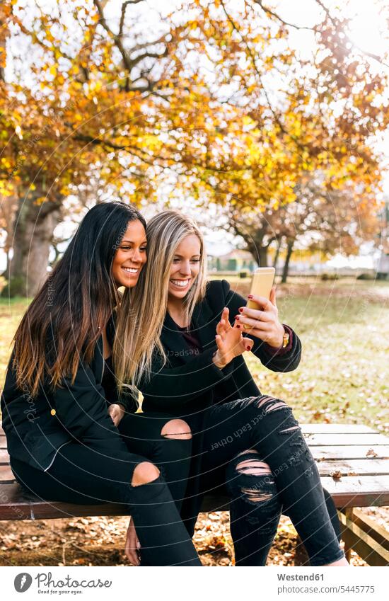 Two smiling young women on park bench looking at cell phone smile parks woman females benches female friends mobile phone mobiles mobile phones Cellphone