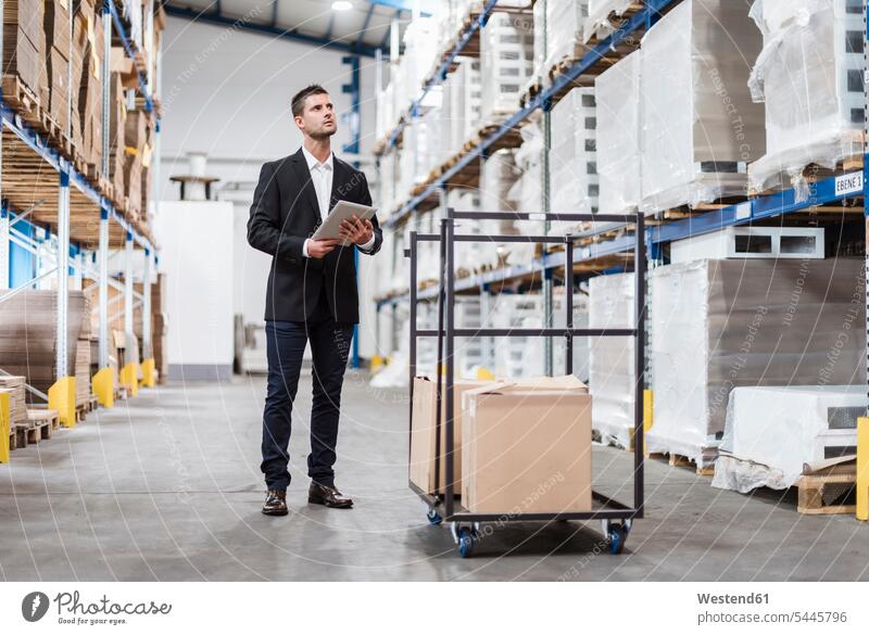 Businessman in warehouse loading cardboard boxes on transport cart business people businesspeople inventory stocktaking stock control storehouse storage company