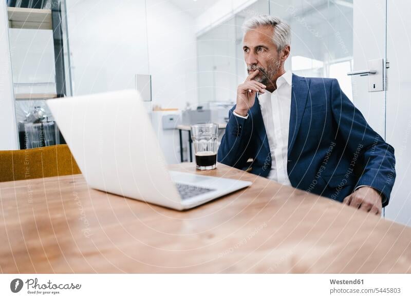 Mature businessman with laptop in office Laptop Computers laptops notebook Businessman Business man Businessmen Business men offices office room office rooms