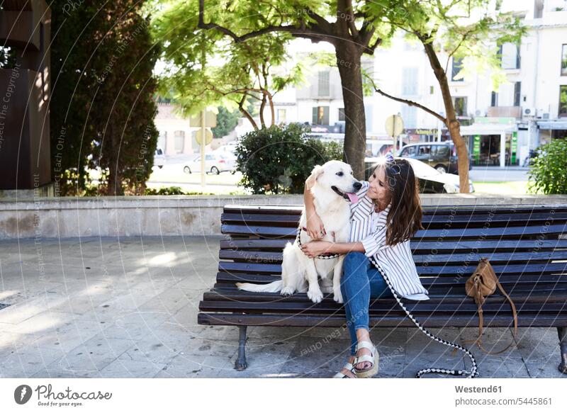 Happy young woman sitting with her dog on bench in the city females women happiness happy dogs Canine benches Seated Adults grown-ups grownups adult people