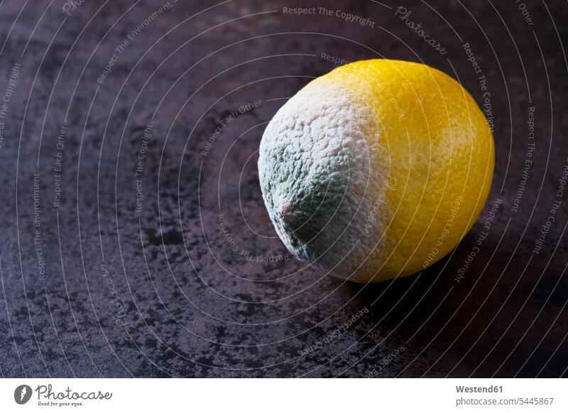 Moulding lemon on rusty ground Disgust disgusted Disgusting impermanence impermanent fugaciousness transience Lemon Lemons copy space metal metals close-up
