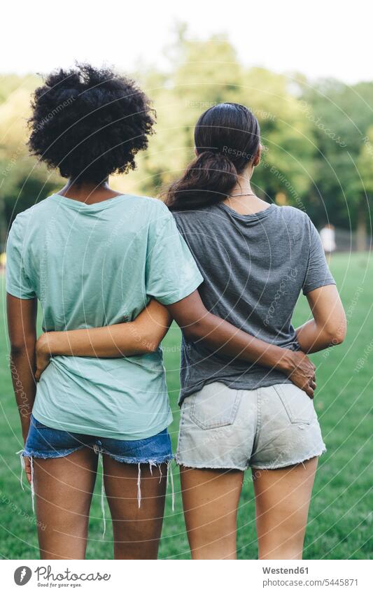 Back view of two women standing arm in arm in a park female friends mate friendship lesbian couple twosomes partnership couples parks woman females people
