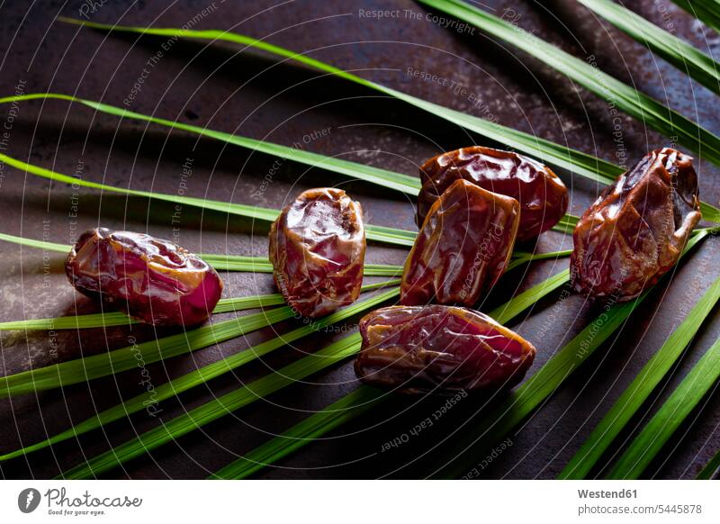 Dates on palm leaf brown palm leaves fruit tropical Tropical Climate gleaming copy space studio shot studio shots studio photograph studio photographs