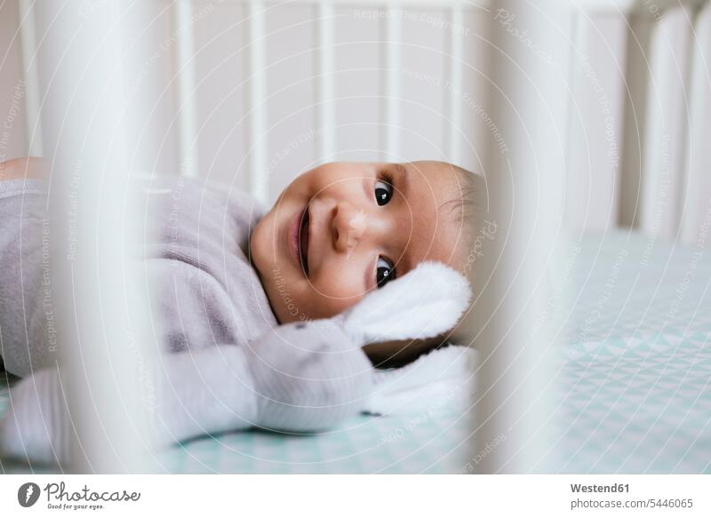 Smiling baby girl lying in crib with toy bunny baby girls female infants nurselings babies people persons human being humans human beings smiling smile