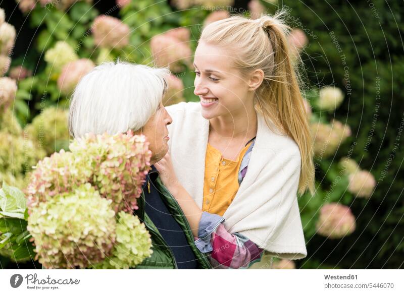 Happy young woman with her grandmother at bush in garden gardens grandmas grandmothers granny grannies happiness happy Bush Bushes Shrub Shrubs females women