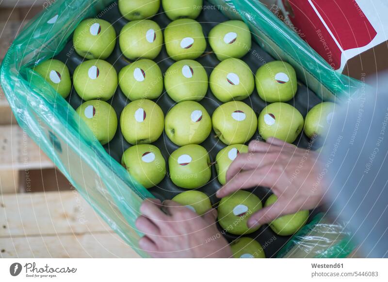 Close-up of woman's hands and green apples in cardboard box South Africa Part Of partial view cropped Selective focus Differential Focus full Packaging package