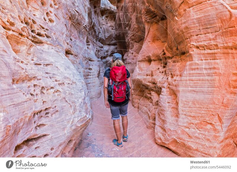 USA, Nevada, Valley of Fire State Park, sandstone and limestone rocks, tourist in narrow passageway walking going Experience Experiences journey travelling