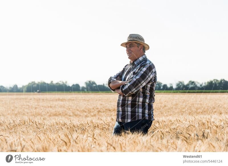 Smiling senior farmer standing in a field agriculturists farmers agriculture watching looking looking at Field Fields farmland man men males senior men