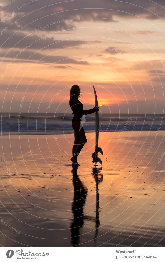 Indonesia, Bali, young woman with surfboard at sunset leisure free time leisure time evening in the evening surfer female surfer surfers female surfers standing