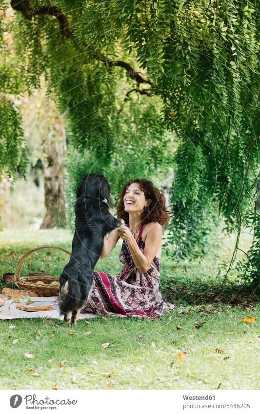 Woman with dog having a picnic in a park smiling smile woman females women Picnic picnicking parks dogs Canine Adults grown-ups grownups adult people persons
