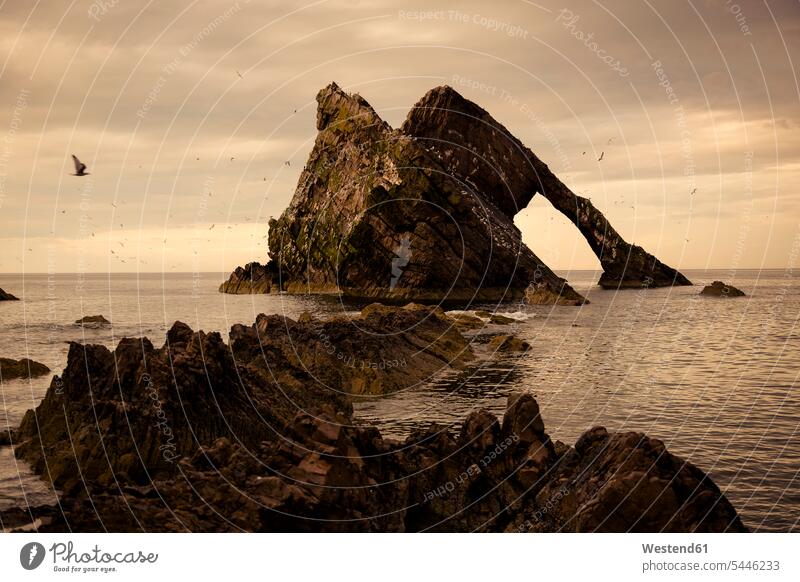 UK, Scotland, Bow Fiddle Rock rock formation Rock Formations bizarre grotesque View Vista Look-Out outlook unusual extraordinary unusually shape shapes nature