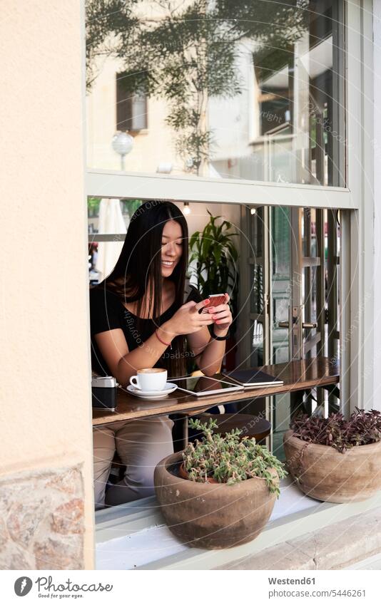 Smiling asian woman chatting with her phone in a coffee shop next to the window windows Coffee females women cafe female Asian female Asians smiling smile Drink
