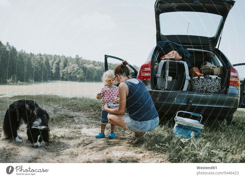 Mother and toddler with dog at a car on the countryside dogs Canine Picnic picnicking forest woods forests mother mommy mothers ma mummy mama daughter daughters