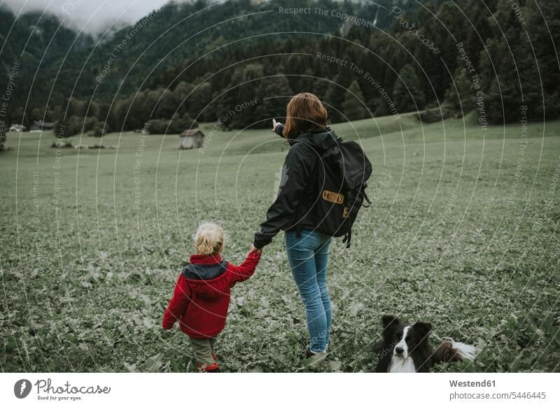 Austria, Vorarlberg, Mellau, mother and toddler with dog on a trip in the mountains standing dogs Canine mommy mothers ma mummy mama forest woods forests
