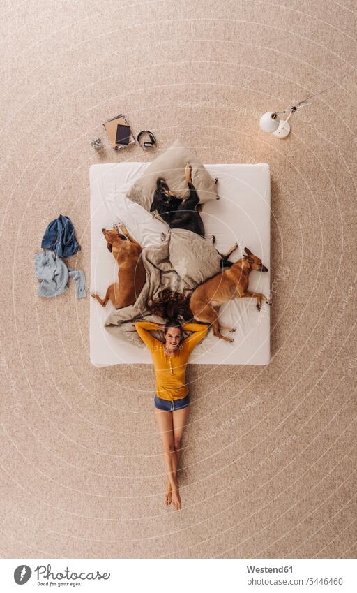 Woman lying at the bottom of her bed with dogs beds sharing share Canine cuddling snuggle cuddle snuggling animal-loving fond of animals love of animals book
