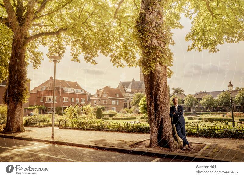 Netherlands, Venlo, businessman leaning against a tree standing city town cities towns Businessman Business man Businessmen Business men Tree Trees outdoors