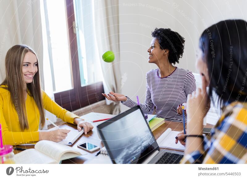 Group of female students working together at table at home At Work teamwork teamworking Table Tables woman females women education Adults grown-ups grownups