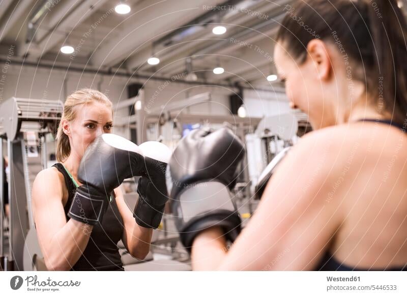 Young women boxing in gym coach coaches trainer fighting female boxer female pugilists female pugs competition Women's Boxing training Sport Training exercising