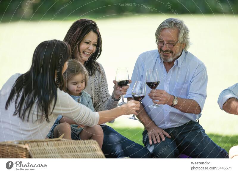 Happy extended family having a picnic and toasting red wine glasses families Wine generations Red Wine Red Wines Picnic picnicking people persons human being
