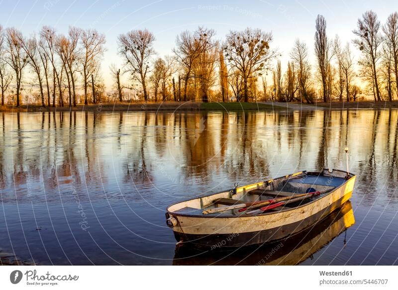 Germany, Saxony, Elbe river with rowing boat in the morning beauty of nature beauty in nature morning mood elbe river River Elbe morning sky rowboat
