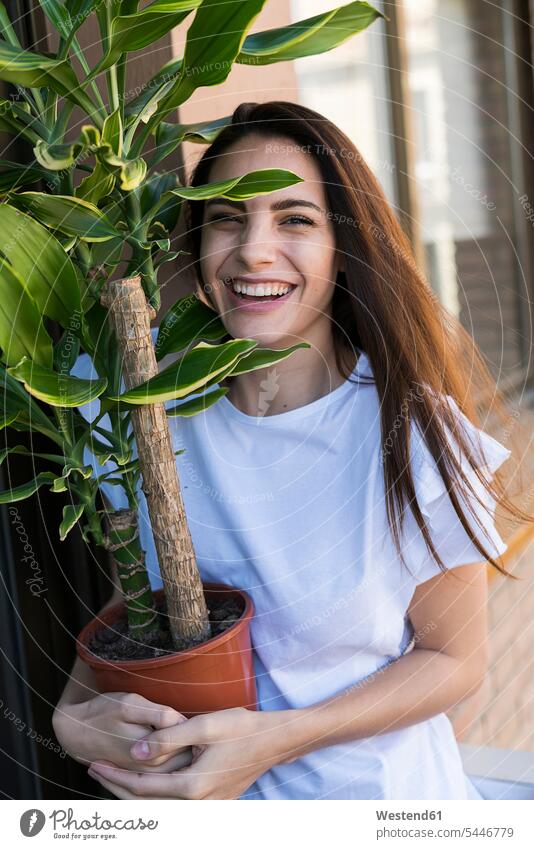 Portrait of laughing woman with Yucca in flowerpot females women Laughter Yuccas Adults grown-ups grownups adult people persons human being humans human beings