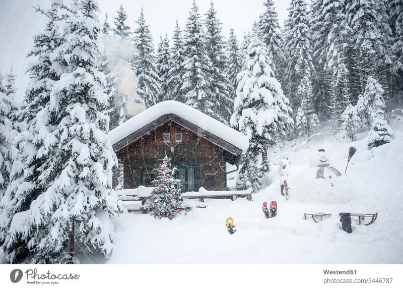 Austria, Altenmarkt-Zauchensee, snowman, sledges and Christmas tree at wooden house in snow Solitude seclusion Solitariness solitary remote secluded rural