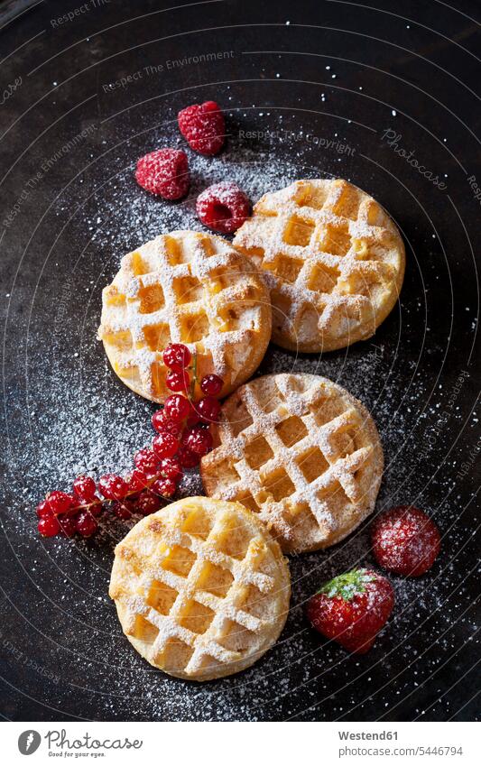 Four waffles, raspberries, strawberries and red currants sprinkled with icing sugar circle circles circular overhead view from above top view Overhead