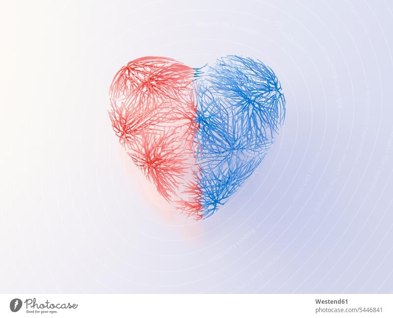 Heart with red and blue veins Idea Ideas Growth growing togetherness heart positive artery biology symbol symbols Love loving nobody 3d Illustration