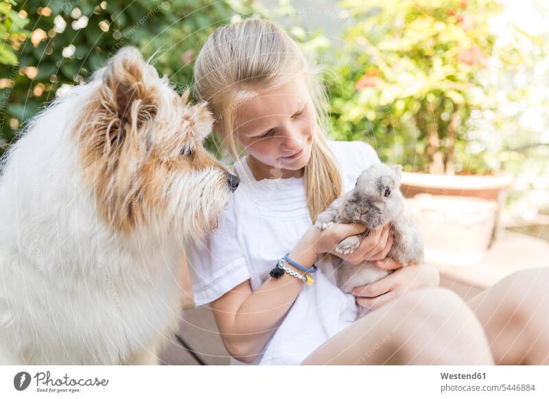 Girl with rabbit and dog outdoors cuddling snuggle cuddle snuggling dogs Canine rabbits girl females girls pets animal creatures animals hare hares leporidae