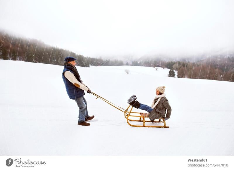 Senior couple having fun with sledge in snow-covered landscape senior couple elder couples senior couples sledges adult couple adult couples twosomes