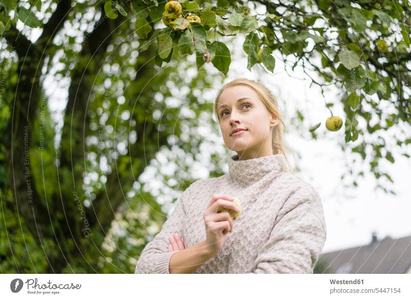 Portrait of young woman at apple tree in garden females women Apple Apples portrait portraits Apple Tree Apple Trees Malus domestica gardens Adults grown-ups