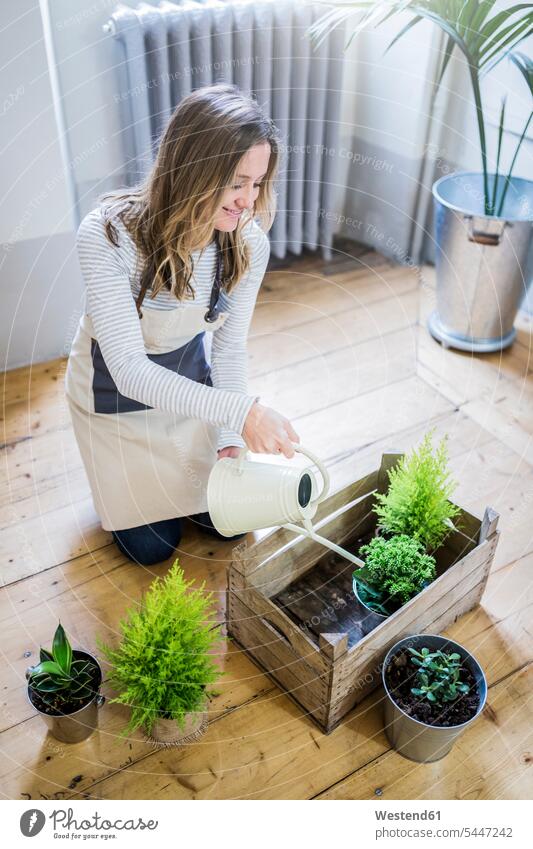 Smiling woman at home watering plants Plant Plants females women smiling smile Adults grown-ups grownups adult people persons human being humans human beings