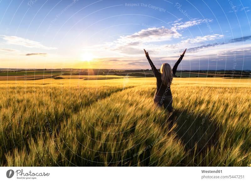 Back view of woman standing in grain field at sunset Field Fields farmland females women Adults grown-ups grownups adult people persons human being humans