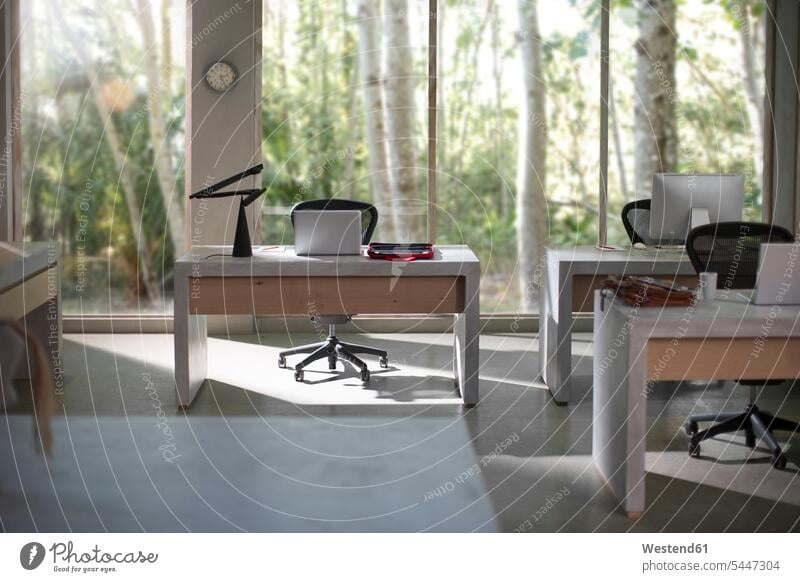 Interior of a modern office with nature view nobody swivel chair office chair office chairs design Designs furnishing Furnishings office equipment