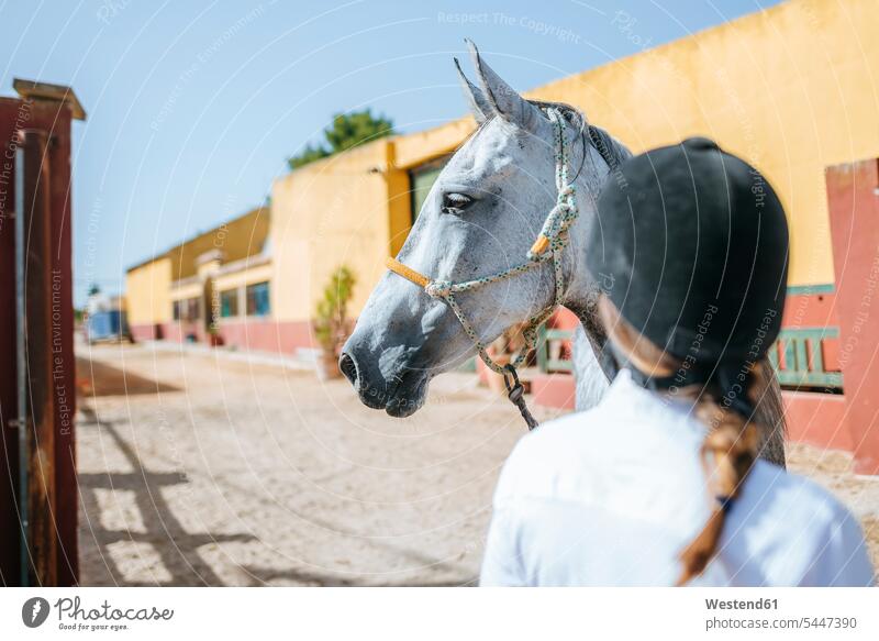 Portrait of horse with back view of woman wearing riding helmet equus caballus horses Riding Hat Riding Hats mammal mammalian mammals mammalians animal