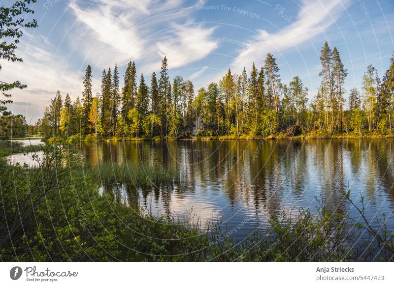 Lake on the Via Karelia in Finland evening mood Reflection Spring clouds Water Fishing (Angle) Sunlight vacation Camping Suomussalmi quiet scene Lakeside Sunset