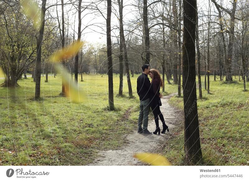 Affectionate couple in the forest in autumn fall twosomes partnership couples woods forests affectionate tender loving caressing people persons human being