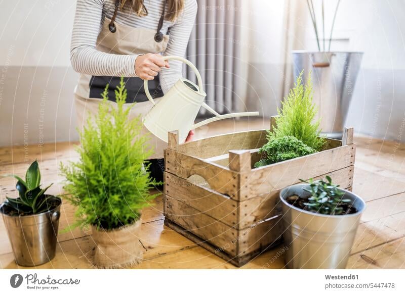 Close-up of woman at home watering plants Plant Plants females women Adults grown-ups grownups adult people persons human being humans human beings box boxes