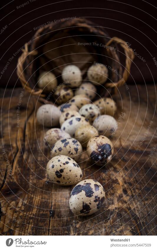 Quail eggs on dark wood quail egg quail eggs focus on foreground Focus In The Foreground focus on the foreground natural naturally brown rustic dotted flecked