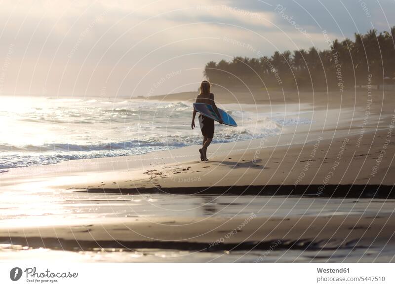 Indonesia, Bali, young surfer walking on beach man men males sunset sunsets sundown evening in the evening going carrying surfboard surfboards Adults grown-ups