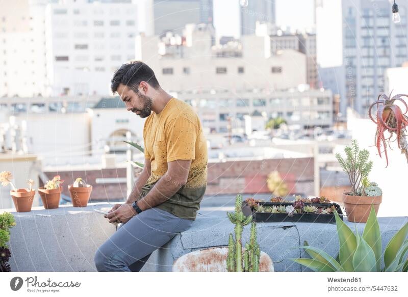 Young man sitting on rooftop terrace checking smart phone messages men males reading mobile phone mobiles mobile phones Cellphone cell phone cell phones Seated