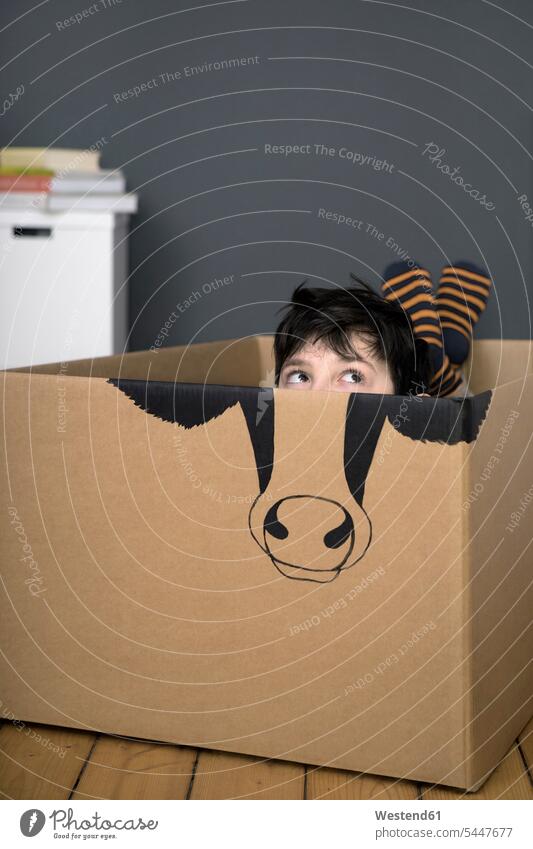 Boy inside a cardboard box painted with a cow Cardboard Carton carton cardboard boxes Cardboards cartons playing cows boy boys males animal creatures animals