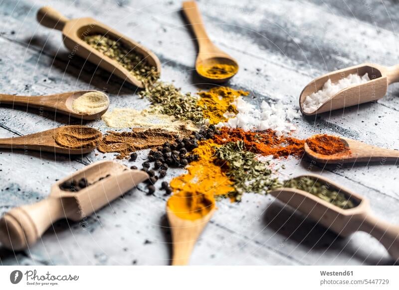 Spicies, curry, chilli, cinnamon, curcuma, garlic, parsley, oregano, salt and pepper on wooden spoons rustic Choice choose choosing choices difference different