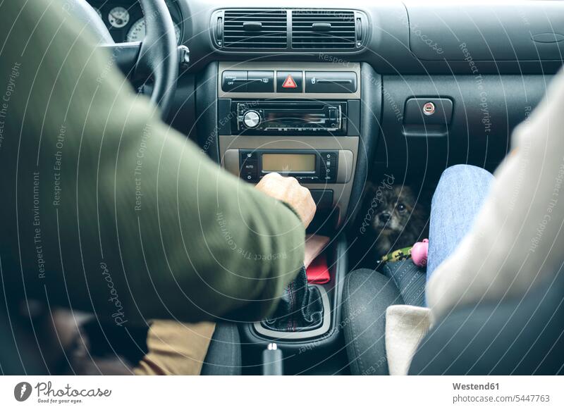 Couple in car with small dog looking at camera automobile Auto cars motorcars Automobiles couple twosomes partnership couples hand human hand hands human hands
