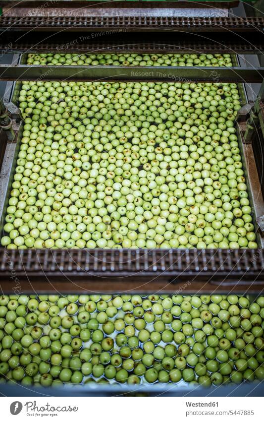 Green apples in factory being washed cleaning merchandise merchandises goods food industry machine automation food processing plant elevated view
