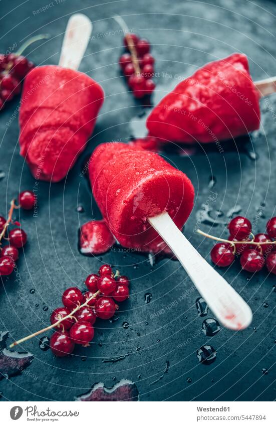 Homemade currant popsicles and red currants on slate temptation tempting sweet Sugary sweets fruity sorbet sorbets Dessert Afters Desserts currant ice cream
