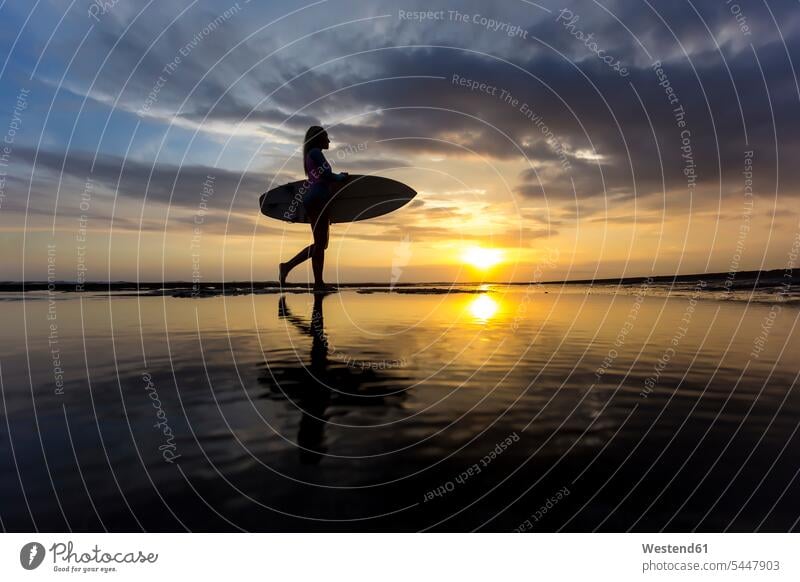 Indonesia, Bali, young woman with surfboard at sunset leisure free time leisure time evening in the evening surfboards females women silhouette silhouettes