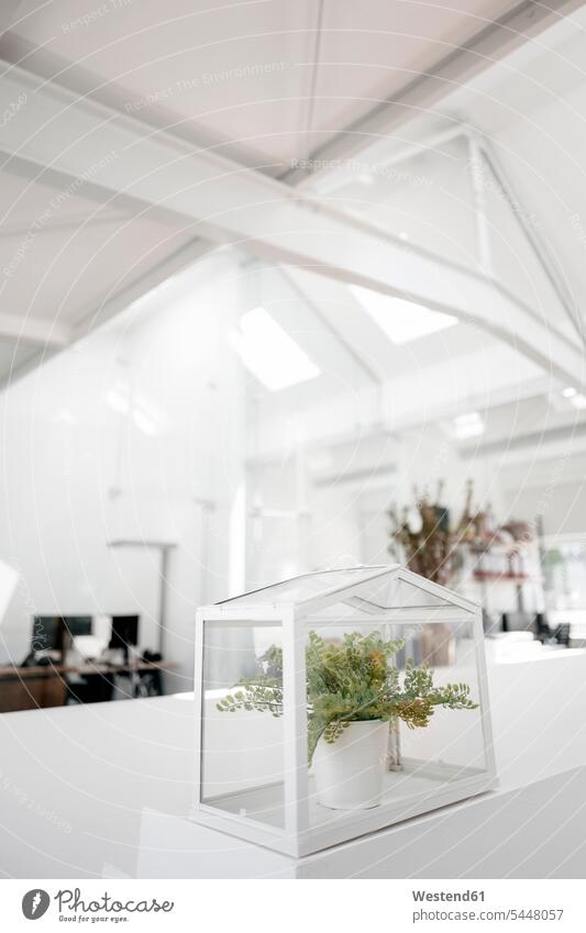 Plant in glass box on railing in office offices office room office rooms Plants workplace work place place of work business business world business life indoors